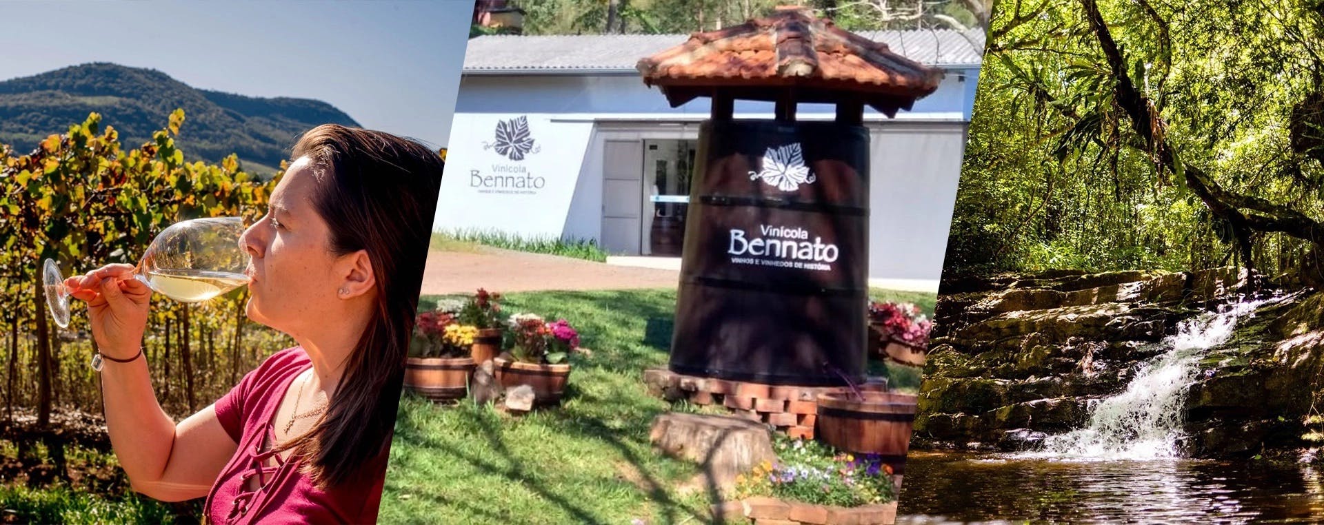 Vinícola Bennato